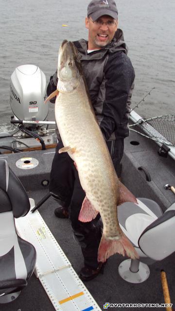 dynamic avatar harry potter avatar paintings for sale dsc00301x