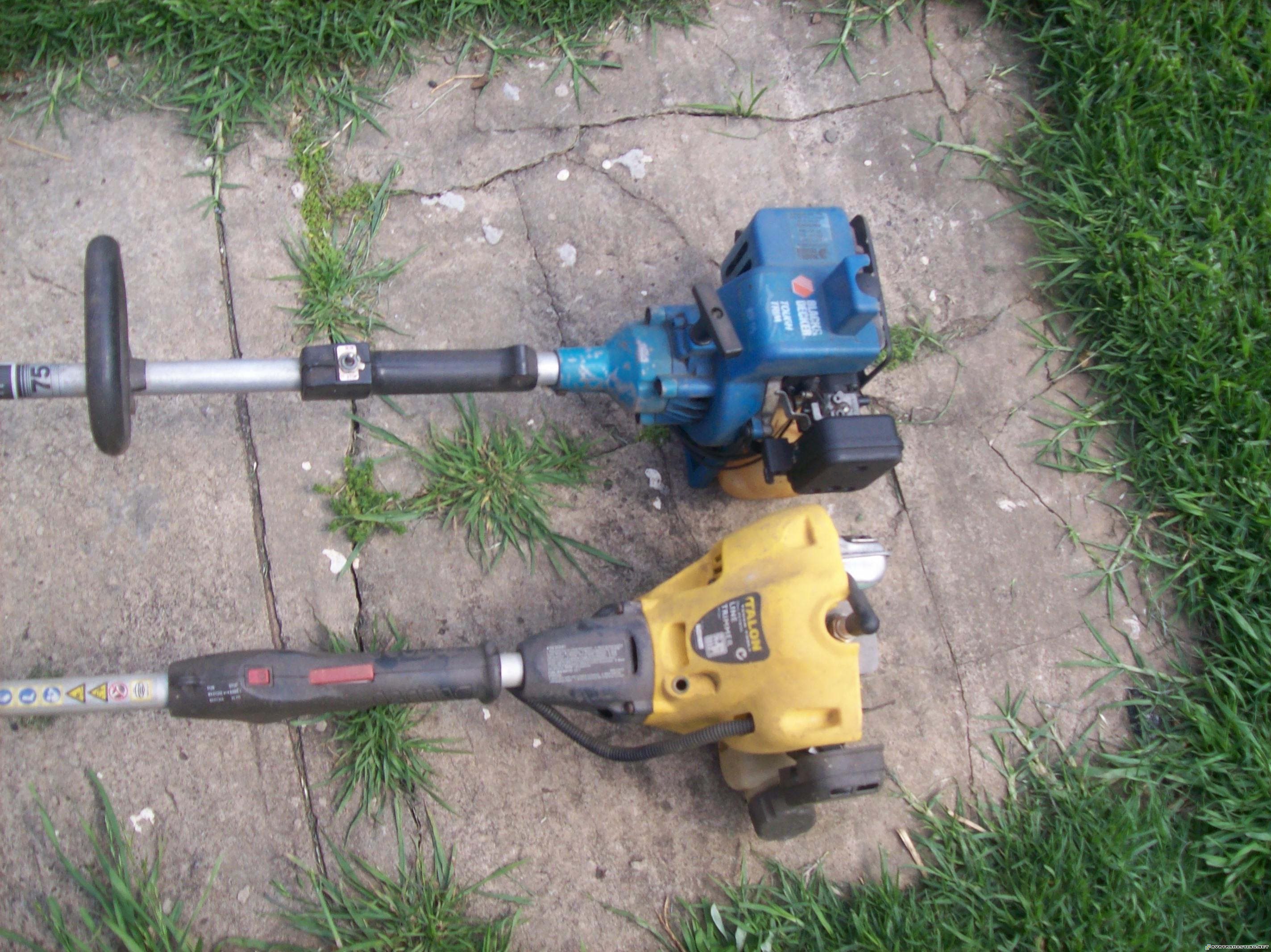 animated avatar auction photo hosting dragonflies species 101_0361