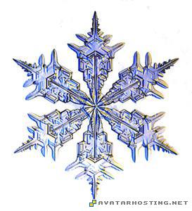 snowflake snowflake_