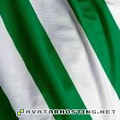 avatar templates msn avatar avatar press whiteandgreenteamcolorsflag