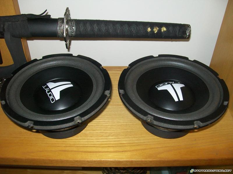 electronic photo album avatar images mollusks animals Picture090