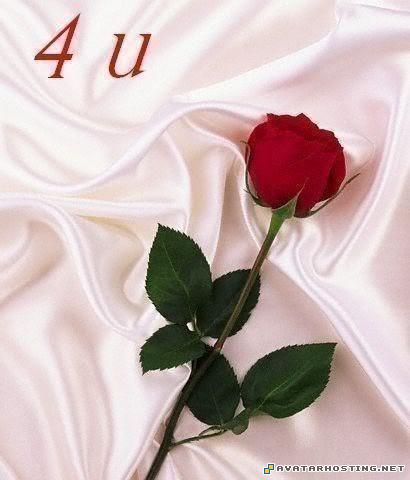 painting photo gallery online oil painting reproduction rose4u