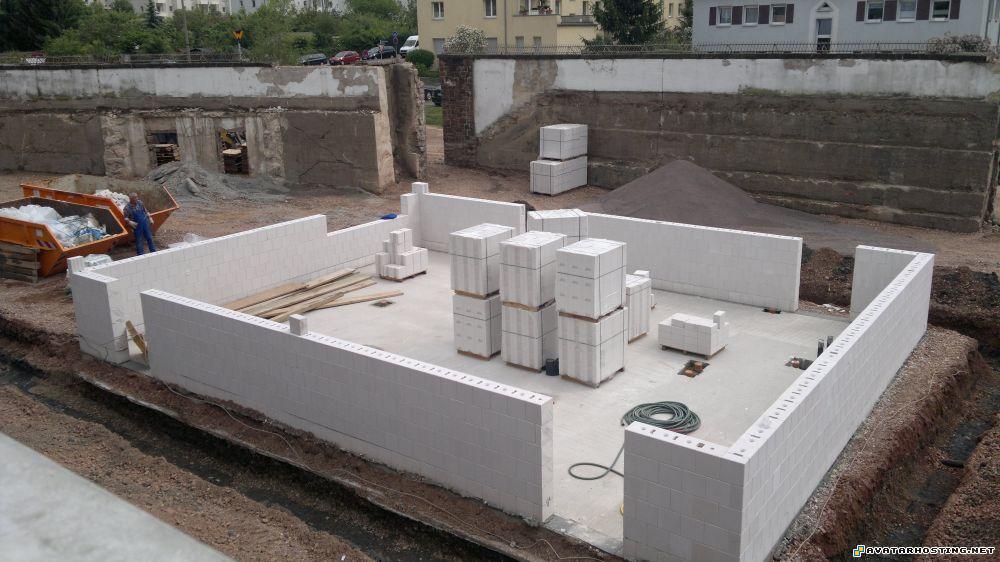 endangered moths free avatar video hosting service 13052011116