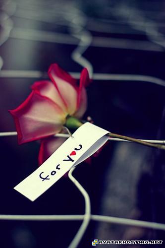 martin prints avatar 16 where to watch avatar 123456