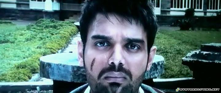 mollusks species free file hosting mollusks invertebrates ass