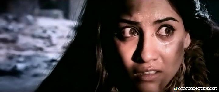 dynamic avatar dragonflies species prints s