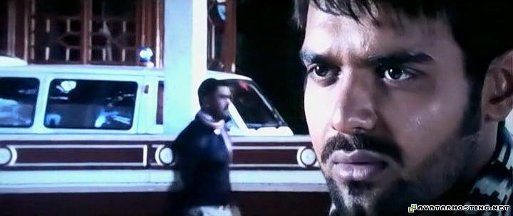 mammals insects avatar animation jet avatar wa