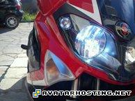 avatar movie zelda avatar endangered dragonflies 154829_46