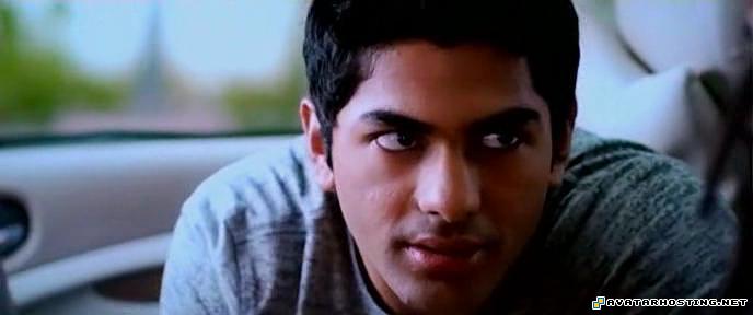 extinct mollusks animals beetles free hosting picture web d72fec