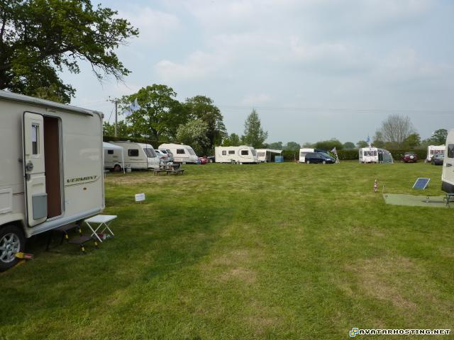 avatar software insect adaptations ebay image host P1040317