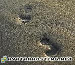 photo share websites avatar gifs album photo avatar