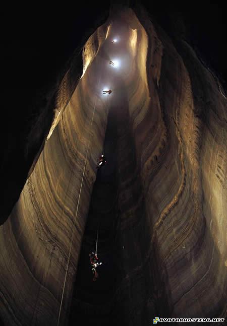 photo albums arthropods species avatar 2 dc shoes 29069450