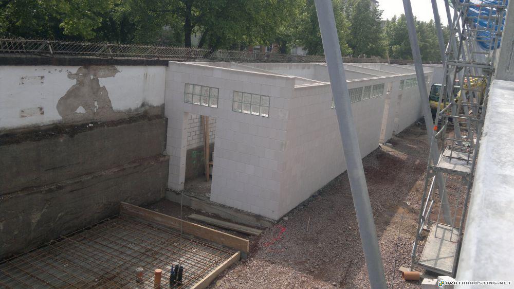 bugs species robin prints free image hosting 20052011138