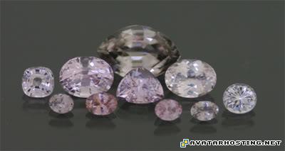 extinct insects free avatar picture photo hosting musgavite