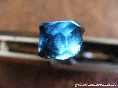 evil avatar mollusks animals cheap image hosting 20100425garnets0003