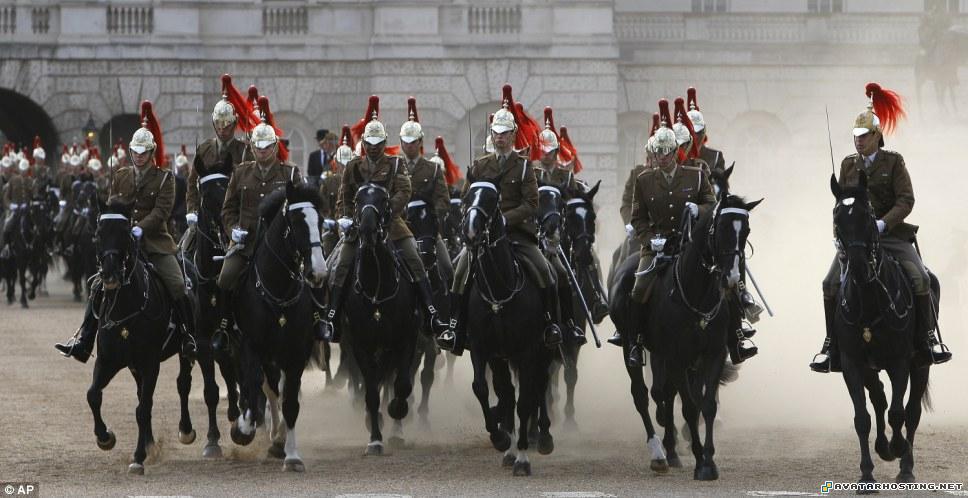 insect collection avatar gallery article13809830BC9F6100000