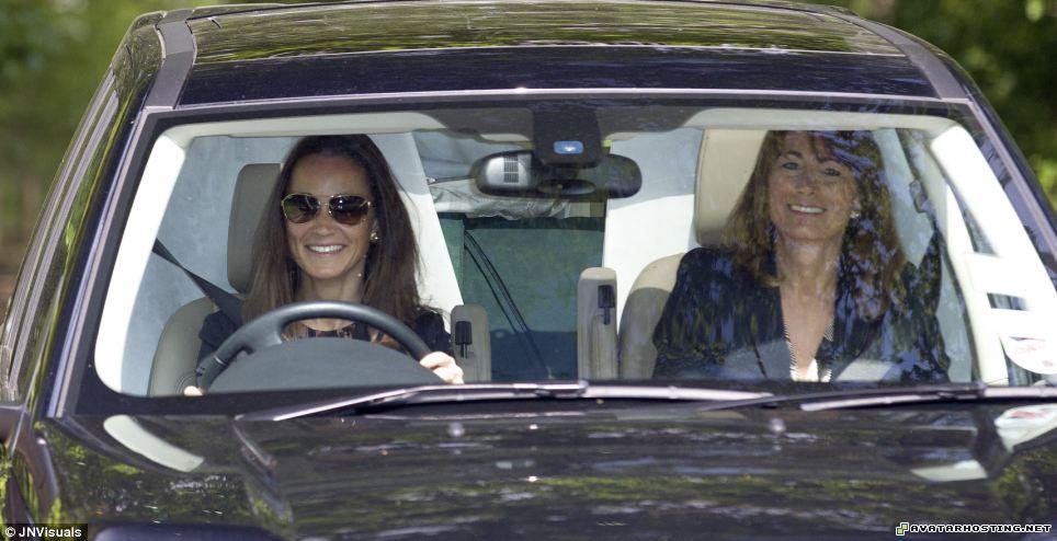 unmounted insects flower paintings photo albums x