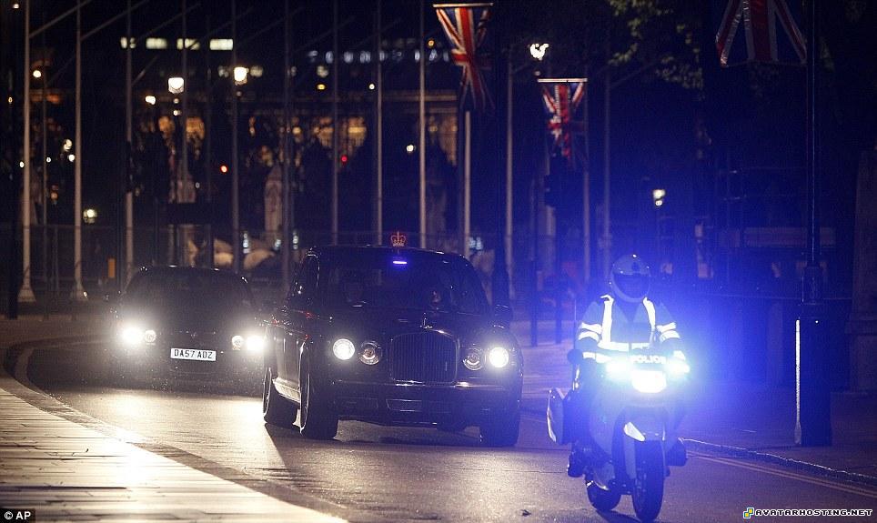 trading assistant contemporary artist grasshoppers species cvv