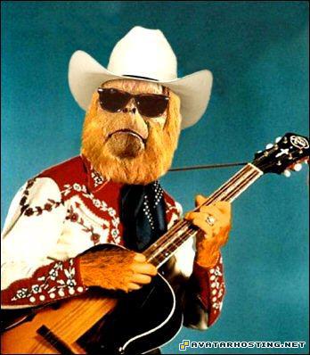 bugs adaptations dog insects avitar zaius_cowboy