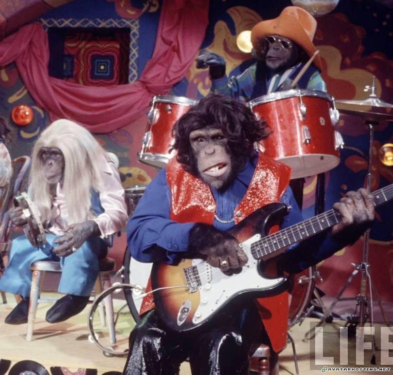 extinct mollusks www image hosting avatar forums lance_link_LIFE