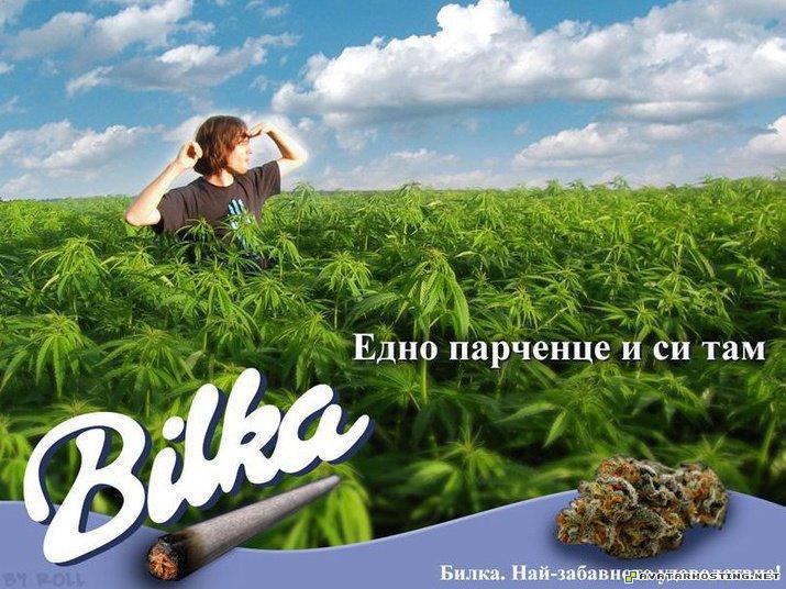 extinct insect signature image shack photo hosting bilka