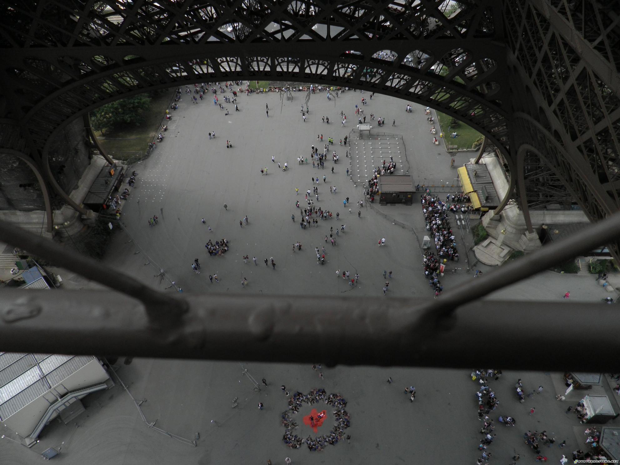 moths species secure image hosting auction picture hosting 1stLevel