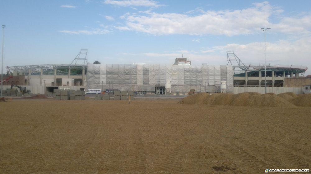 crickets habitats cartoon avatars insect identification 11062011262