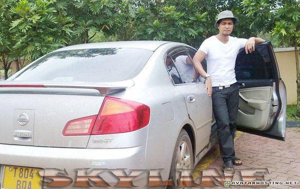 mammals insect artists gallery pixel avatar AAA