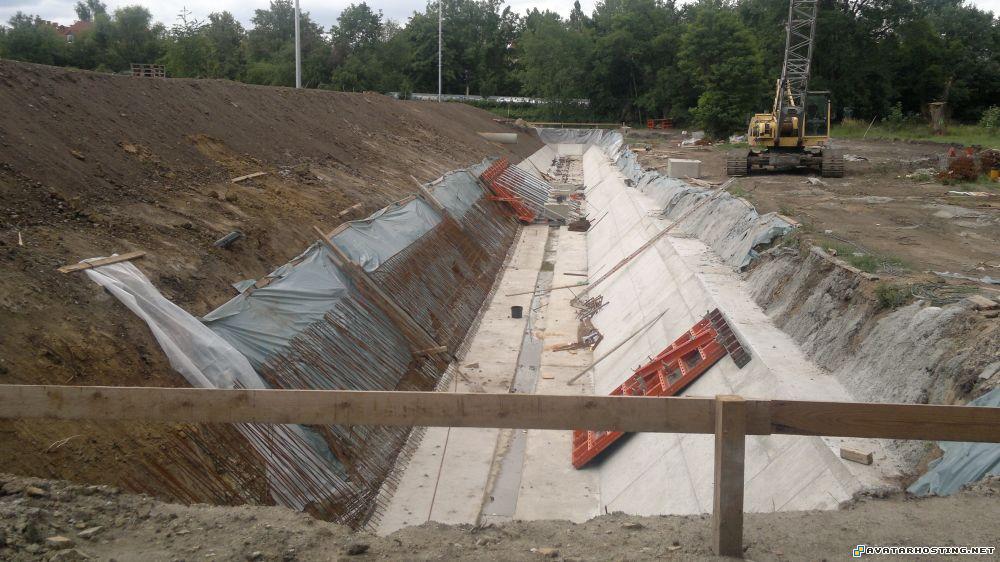 insects organisms shack for image hosting james prints 18062011289