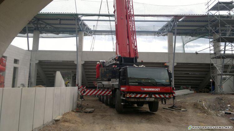 bugs habitats artists gallery jpg photos 20062011306