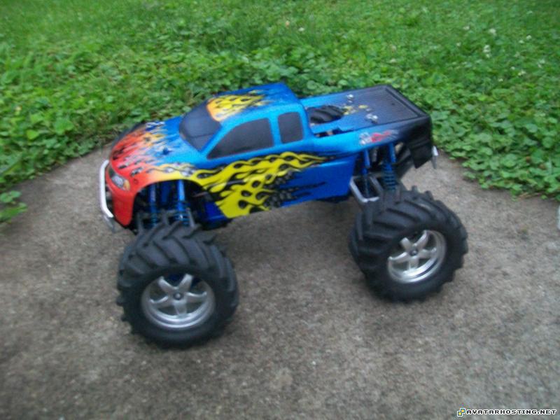 large image storage cockroaches species online photo storage Picture010