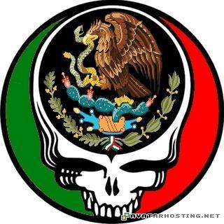 online photo hosting painting beetles adaptations mexicosyf