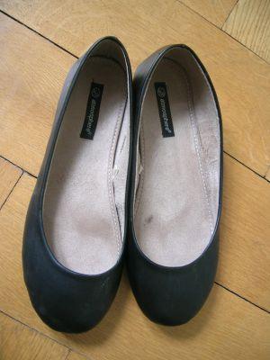 aphids species image shack picture hosting taylor prints ba2