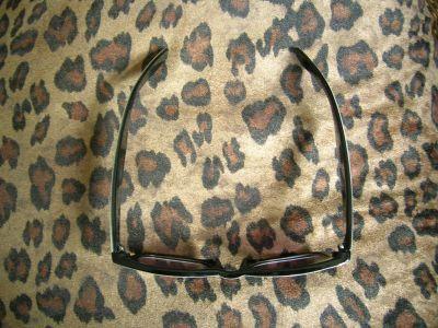 arthropods habitats livejournal avatar avatar movies sonnenbrille_w2