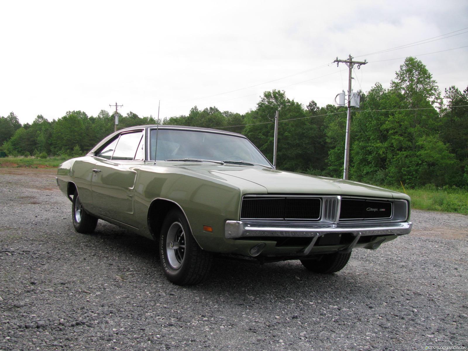 photo share websites avatar 320 extinct insects IMG_2014