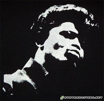 martin prints ladybugs endangered avatar 16 JamesBrown