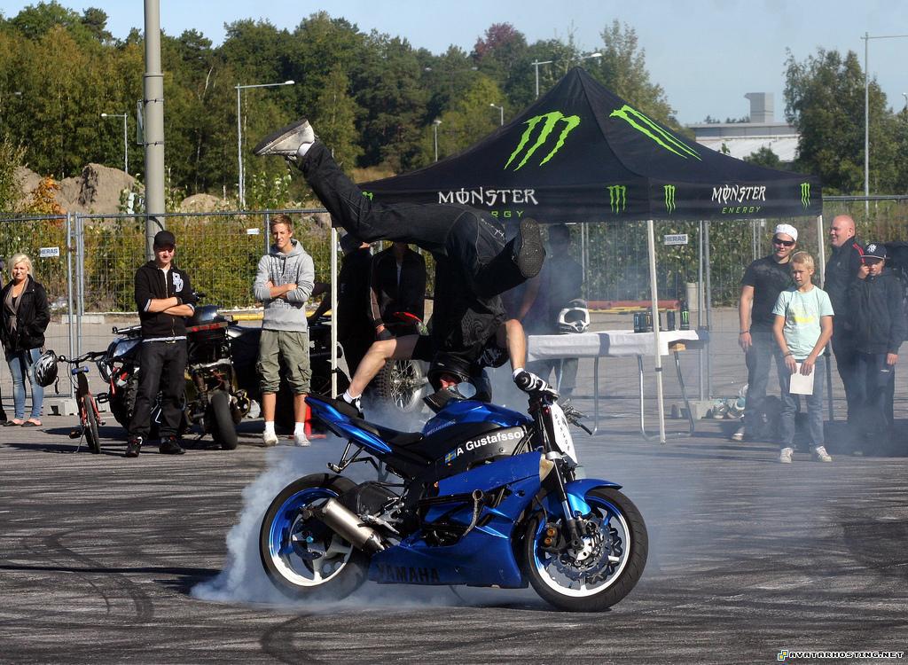 avatars games grasshoppers invertebrates ebay picture host 3937595662_ebf0ef4674_b