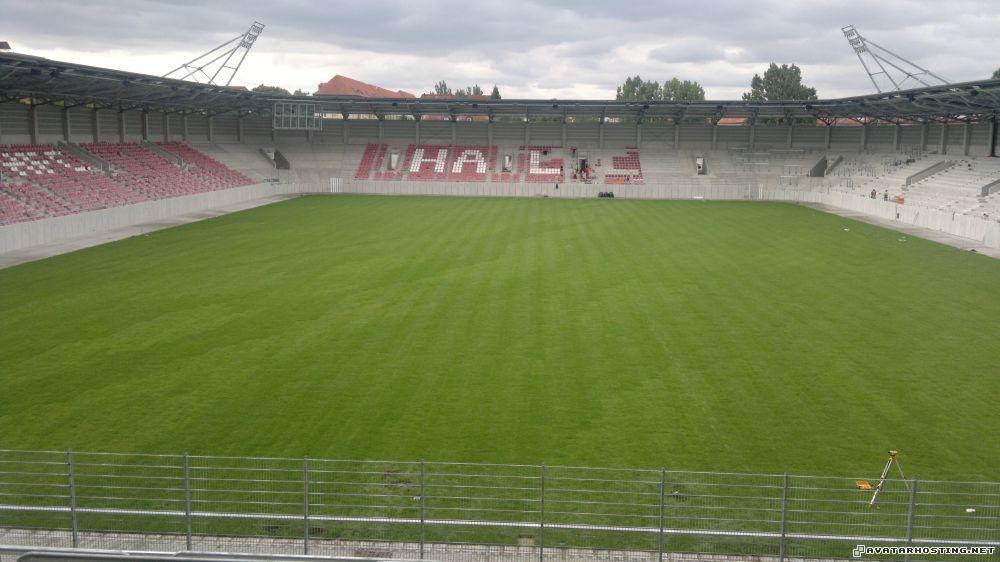 bugs animals moving avatars dragon avatar 12.086