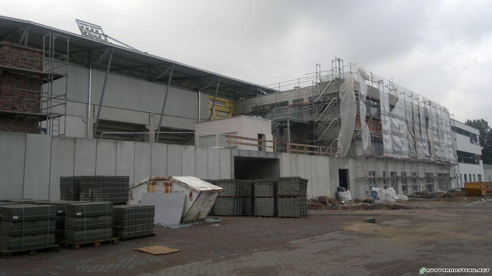 affordable art animalia insects endangered crustaceans 13.084