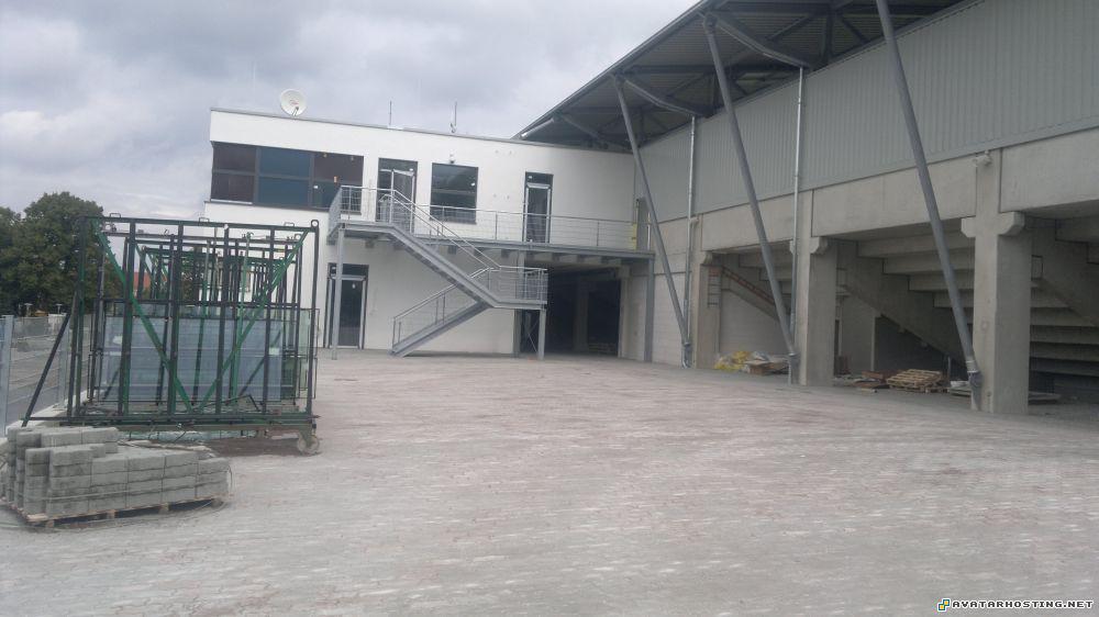 endangered bugs bugs species grasshoppers adaptations 13.0816