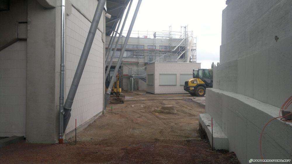 jpg photo extinct mollusks avatar banners 13.0827