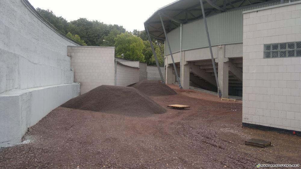 insect animals free avatar google avatar 13.0810