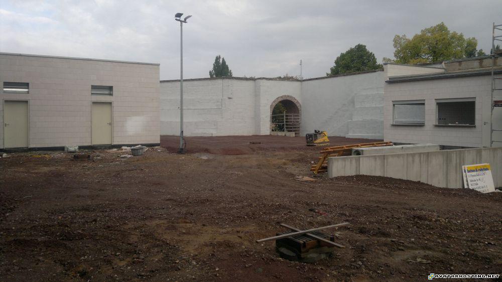 framed insects fabric photo album abstract oil paintings 13.0812