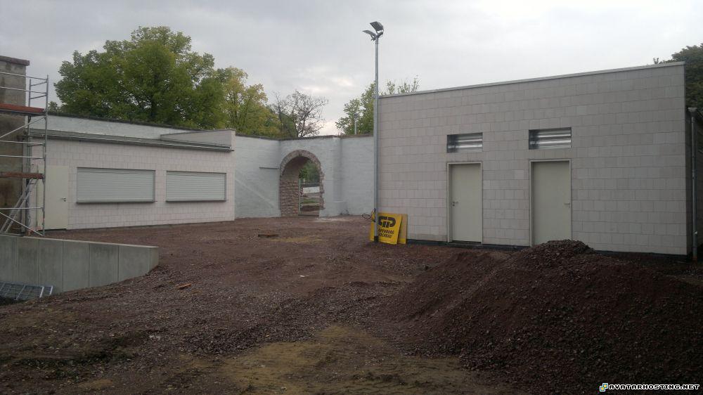 avatar com dog termites avatar online 13.0813