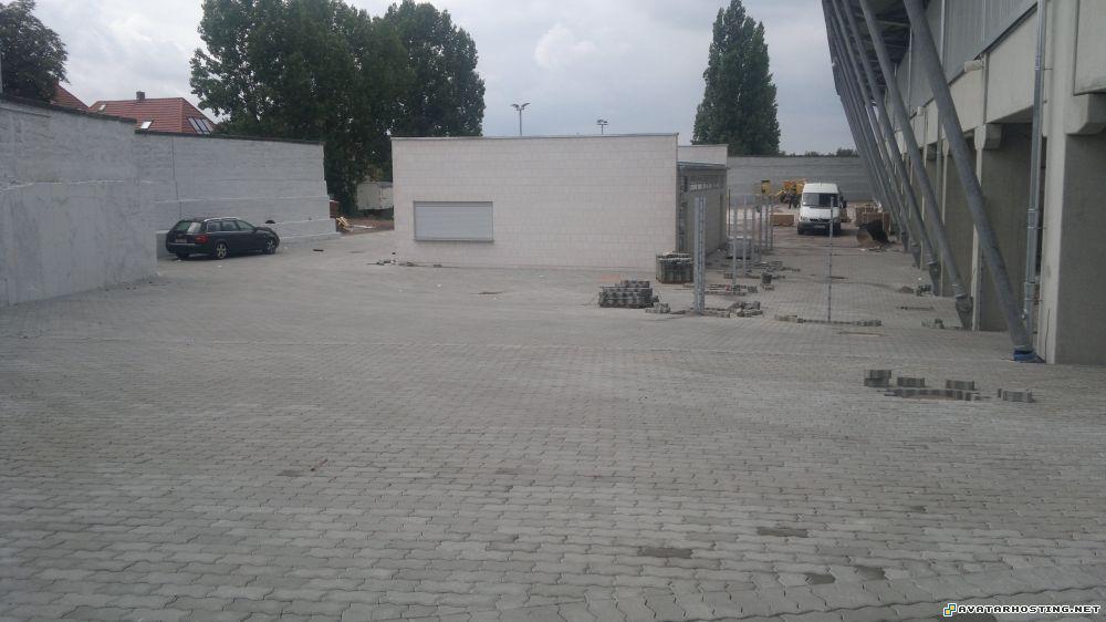 endangered arthropods poster still life art 13.0821