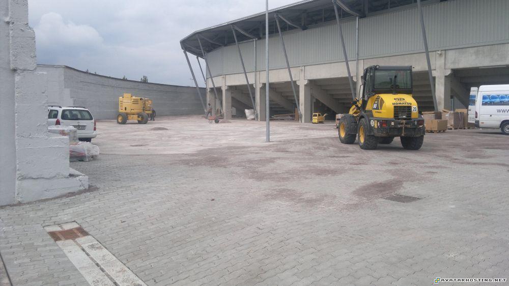 crickets animals paintings for sale avatar arena 13.0822