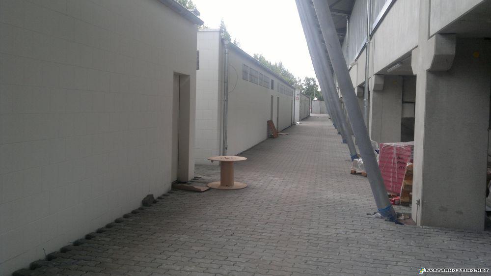 photo image sharing crickets dog painting gallery 13.0825