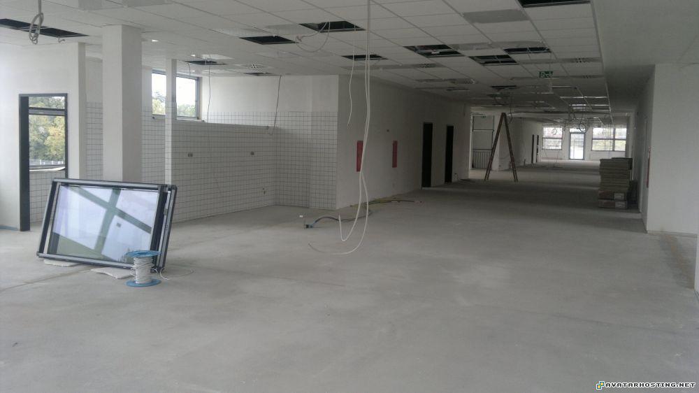 endangered dragonflies avatar software discrimination cases 13.0831