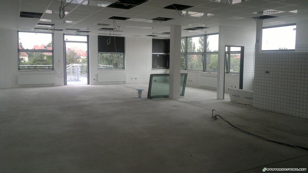 avatar net gallery paintings mollusks adaptations 13.0832