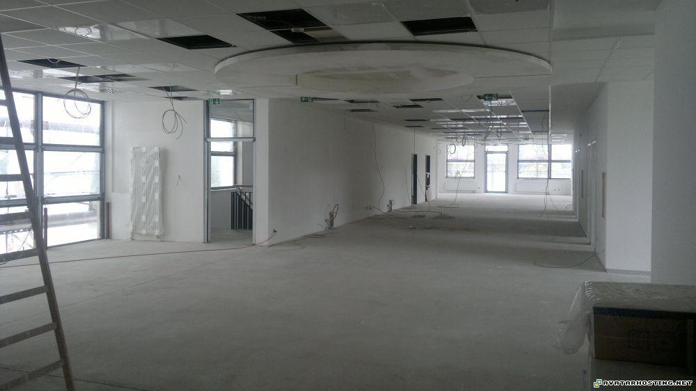 mollusks adaptations extinct insects hosting 13.0833